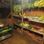 The available food in an ayahuasca retreat