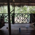 Examples of Ayahuasca intentions and how to create your own