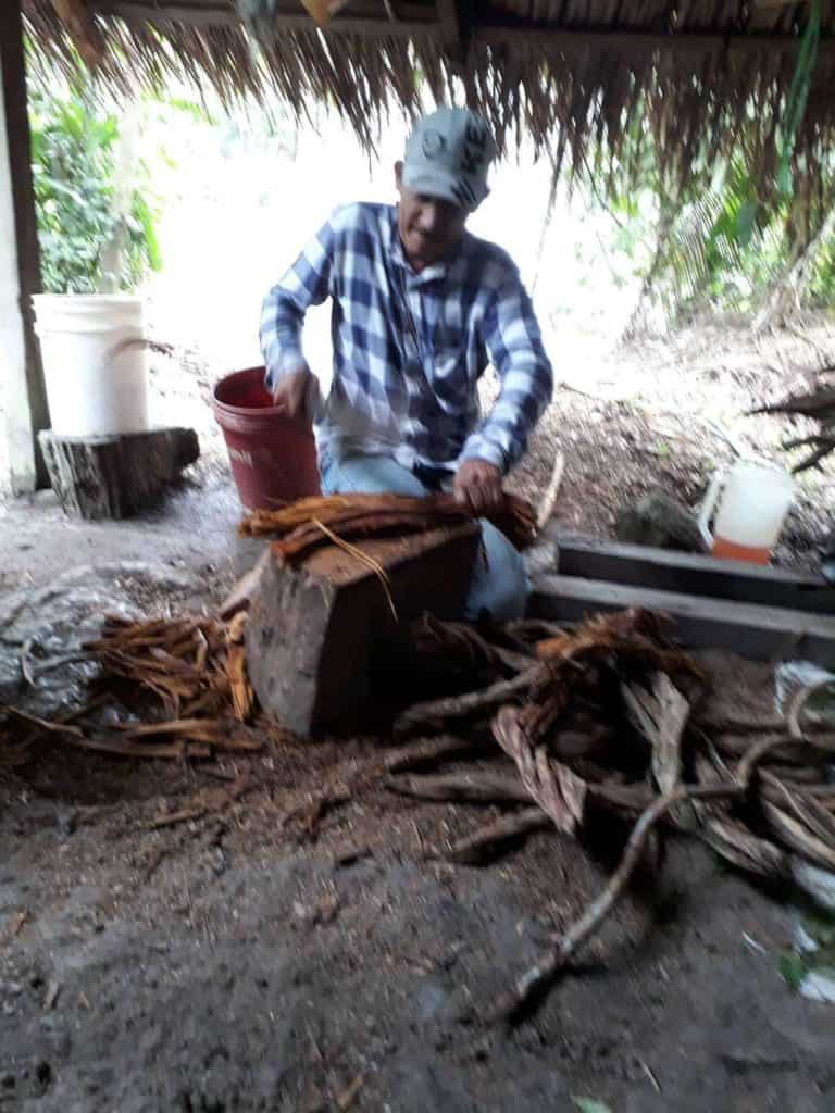 Maestro Hegner preparando el té de ayahuasca utilizado en el retiro de ayahuasca Santuario Huishtin, Pucallpa, Perú.