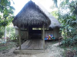 Retiro económico de ayahuasca: $90USD p/día