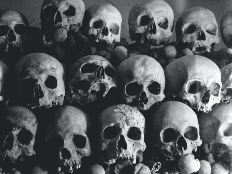 Muerte y ayahuasca: cómo sucede y cómo evitarlo